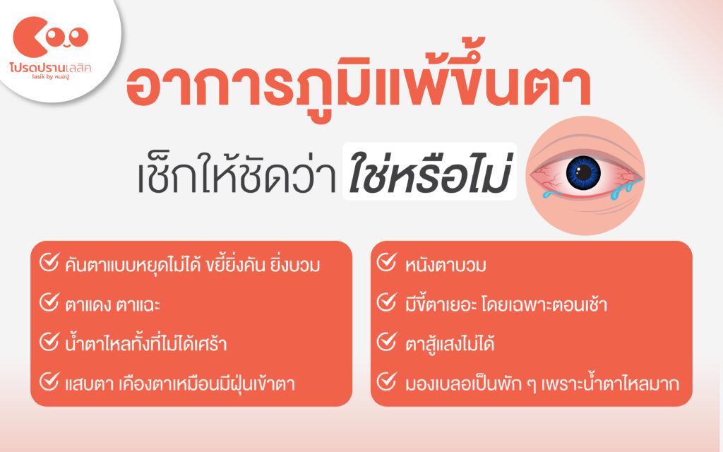 อาการของภูมิแพ้ขึ้นตาที่พบได้บ่อย